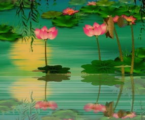 大暑节气荷花flash动画